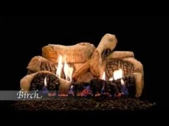 Empire White Mountain Hearth LSxxB2-Kit Ceramic Fiber Birch Complete Fireplace Log Set -Natural Gas Fire Place Store 2HX4629hL6Q 460