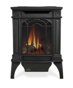 Napoleon Arlington Direct Vent Cast Iron Gas Stove