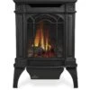 Napoleon GDS20E Arlington Electronic Ignition Direct Vent Cast Iron Stove