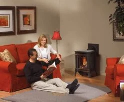 Napoleon GDS20E Arlington Electronic Ignition Direct Vent Cast Iron Stove 12 Napoleon GDS20E Arlington Electronic Ignition Direct Vent Cast Iron Stove -Natural Gas Fire Place Store arlington ls