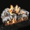 Grand Canyon Quaking Aspen Double Sided Vented Gas Log Set