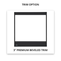 Napoleon B46NTR Ascent Series Millivolt Ignition Direct Vent Gas Fireplace -Natural Gas Fire Place Store b46 safety barrier 12 19