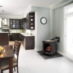 Napoleon GDS25-1 Bayfield Direct Vent Cast Iron Gas Stove -Natural Gas Fire Place Store bayfield ls