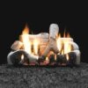 Empire White Mountain Hearth LSxxB2V-Kit Birch Vented Ceramic Fiber Complete Fireplace Log Set