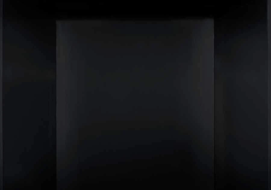 Napoleon GDS20E Arlington Electronic Ignition Direct Vent Cast Iron Stove 4 Napoleon GDS20E Arlington Electronic Ignition Direct Vent Cast Iron Stove - Image 4