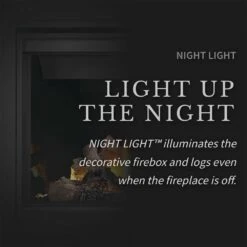 Napoleon BX42TRE Ascent X Series Electronic Ignition Direct Vent Gas Fireplace -Natural Gas Fire Place Store bx36tre config g 08 22