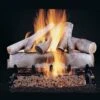 Rasmussen DF-SS-WB-Kit Double Sided Birch Series Stainless Steel Fireplace Log Set