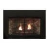 Empire White Mountain Hearth DVC28IN Innsbrook Clean-Face Direct Vent Gas Fireplace Insert, 28-Inches