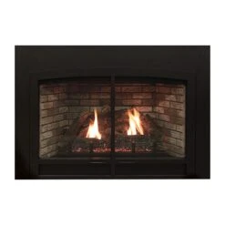 Empire White Mountain Hearth DVC26IN Innsbrook Clean-Face Direct Vent Gas Fireplace Insert, 26-Inches