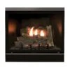 Empire White Mountain Hearth DVCD42FP Tahoe Clean-Face Direct Vent Deluxe Gas Fireplace, 42-Inches