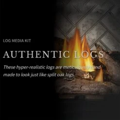 Napoleon E42xTE Elevation Series Electronic Ignition 42-Inch Direct Vent Gas Fireplace -Natural Gas Fire Place Store e36xt config d 08 22 1