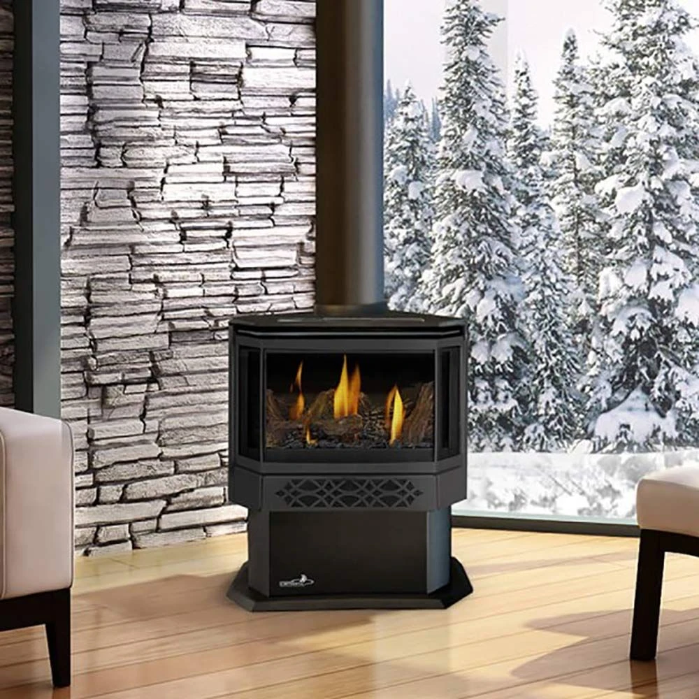 Napoleon GDS28-1NSB Haliburton Millivolt Ignition Direct Vent Gas Stove 2 Napoleon GDS28-1NSB Haliburton Millivolt Ignition Direct Vent Gas Stove - Image 2