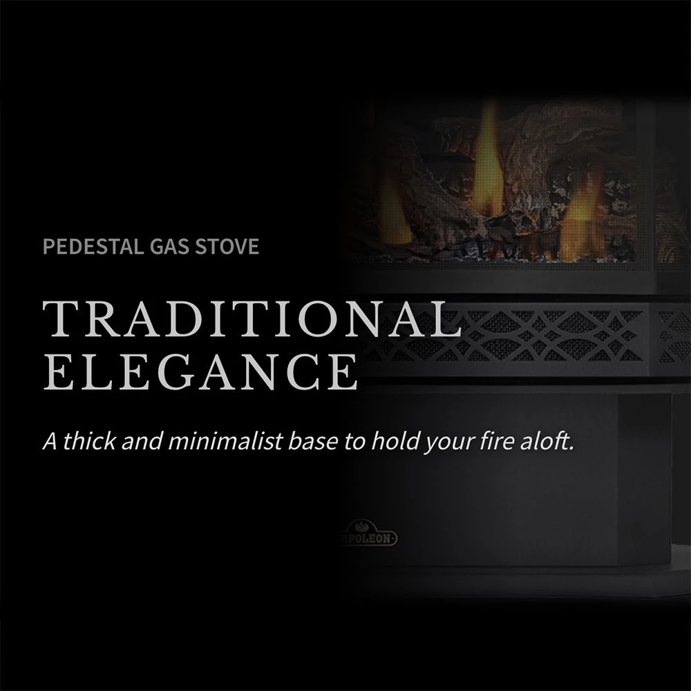 Napoleon GDS28-1NSB Haliburton Millivolt Ignition Direct Vent Gas Stove 4 Napoleon GDS28-1NSB Haliburton Millivolt Ignition Direct Vent Gas Stove - Image 4