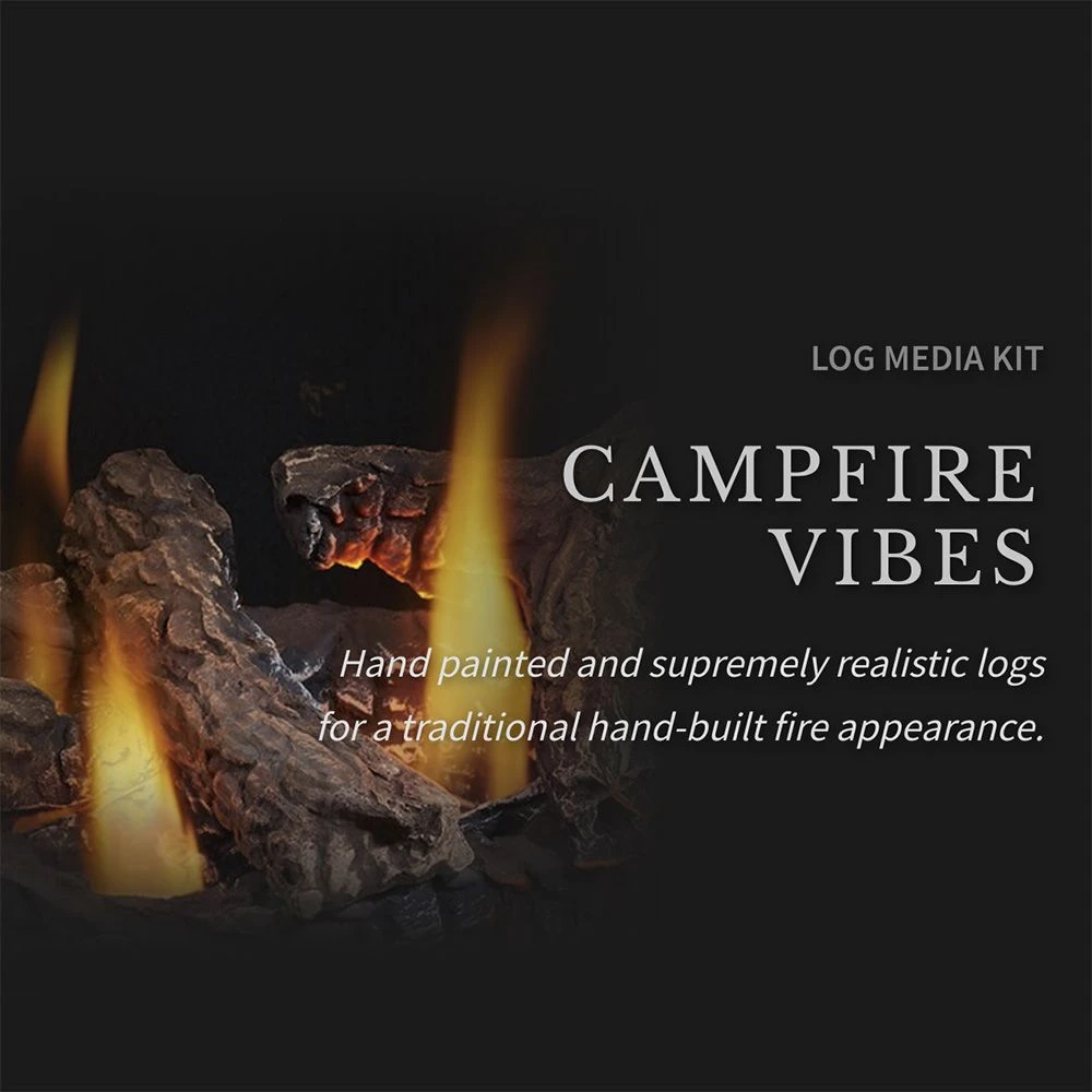 Napoleon GDS28-1NSB Haliburton Millivolt Ignition Direct Vent Gas Stove 5 Napoleon GDS28-1NSB Haliburton Millivolt Ignition Direct Vent Gas Stove - Image 5