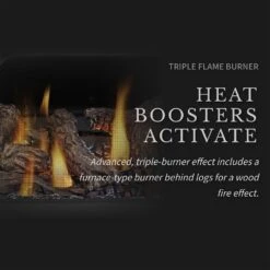 Napoleon GDS28-1NE Haliburton Electronic Ignition Direct Vent Gas Stove -Natural Gas Fire Place Store gds50 1nsb ls e 01 22