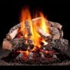 Hargrove Woodland Timbers See-Through Shallow Vented Gas Log Set With RGA/ANSI Certified Burner (HGWTSST-SSB-RGA)