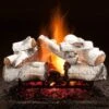 Hargrove Aspen Timbers Vented Gas Log Set With ANSI Certified Hidden Control Burner Kit (HGATSAA-HCB-ANSI)