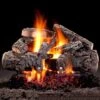 Hargrove Cross Timbers See-Through Shallow Vented Gas Log Set With System 4 Burner, Propane Specialized (HGCTSSS-S4B)