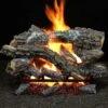 Hargrove Canyon Timbers Vented Gas Log Set With RGA/ANSI Certified Burner (HGCYSAA-EHB-RGA)