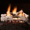 Hargrove Driftwood See-Through Vented Gas Log Set With RGA/ANSI Certified Burner (HGDRSST-STB-RGA)