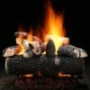 Hargrove Select See-Through Vented Gas Log Set With RGA/ANSI Certified Burner (HGHSSST-STB-RGA)