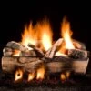 Hargrove Kodiak Split Double Stack Vented Gas Log Set With ANSI Certified Burner Kit And Manual Safety Pilot Kit With Variable Flame Remote (HGKSS-DSB-ANSI)