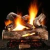 Hargrove Mountain Timber Vented Gas Log Set With RGA/ANSI Certified Burner (HGMTSAA-EHB-RGA)