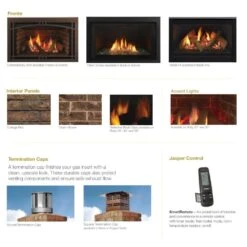 Majestic JASPER30IN Jasper 30-Inch Direct Vent Gas Insert -Natural Gas Fire Place Store jasper30 additiona access a 01 21