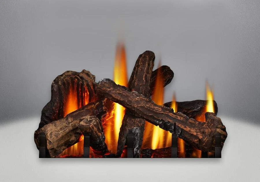 Napoleon GDS25NA-1 Bayfield Electronic Ignition Direct Vent Cast Iron Gas Stove 2 Napoleon GDS25NA-1 Bayfield Electronic Ignition Direct Vent Cast Iron Gas Stove - Image 2