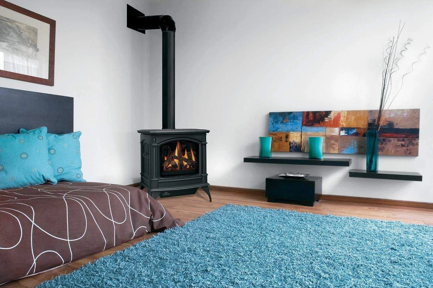 Napoleon GDS25NA-1 Bayfield Electronic Ignition Direct Vent Cast Iron Gas Stove 7 Napoleon GDS25NA-1 Bayfield Electronic Ignition Direct Vent Cast Iron Gas Stove - Image 7