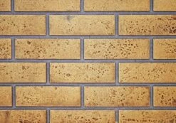 Napoleon GDS25NA-1 Bayfield Electronic Ignition Direct Vent Cast Iron Gas Stove 12 Napoleon GDS25NA-1 Bayfield Electronic Ignition Direct Vent Cast Iron Gas Stove -Natural Gas Fire Place Store knightsbridge panel