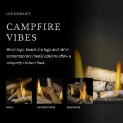 Napoleon LV62N2 Vector Series Double Sided Electronic Ignition 62-Inch Direct Vent Gas Fireplace -Natural Gas Fire Place Store lv38n 1 config f 11 22 1