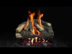 Hargrove Woodland Timbers See-Through Shallow Vented Gas Log Set With ANSI Certified Burner (HGWTSSS-SSB-ANSI) -Natural Gas Fire Place Store ooFrhlTkk4Y 1464