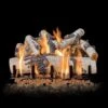 Grand Canyon Quaking Aspen Vented Gas Log Set