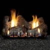 Empire White Mountain Hearth LSxxRSV-Kit Sassafrass Vented Refractory Complete Fireplace Log Set