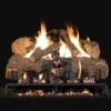 Real Fyre CHNA Charred Angel Oak Vented Gas Log Set, ANSI Certified