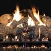 Real Fyre CHNA Charred Angel Oak Vented Gas Log Set