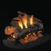 Real Fyre CHAO Charred American Oak Vented Gas Log Set, Stainless Steel, Double Sided, ANSI Certified