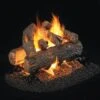 Real Fyre RDP-2 Golden Oak Designer Plus Vented Gas Log Set, Double Sided