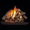 Real Fyre WCF Western Campfyre Vented Gas Log Set, Stainless Steel, ANSI Certified