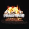Real Fyre W White Birch Vented Gas Log Set, Stainless Steel, ANSI Certified