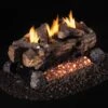 Real Fyre ESV-2 Evening Fyre Split Ventless Gas Log Set, See-Thru, ANSI Certified