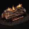 Real Fyre S9-2 Split Oak Ventless Gas Log Set, See-Thru, ANSI Certified