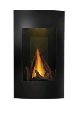 Napoleon GD19N-2 Vittoria Series Electronic Ignition Direct Vent Gas Fireplace