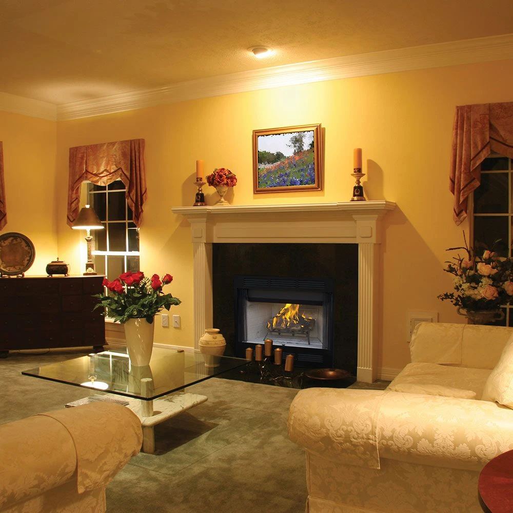 Superior 42-Inch Wood Burning Fireplace (WT2042) 2 Superior 42-Inch Wood Burning Fireplace (WT2042) - Image 2